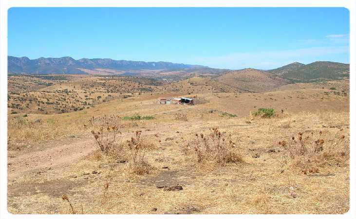 Cortijo del Negro